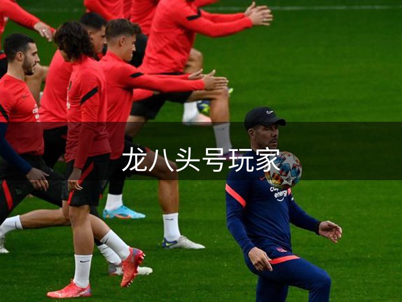 了解龙八头号玩家